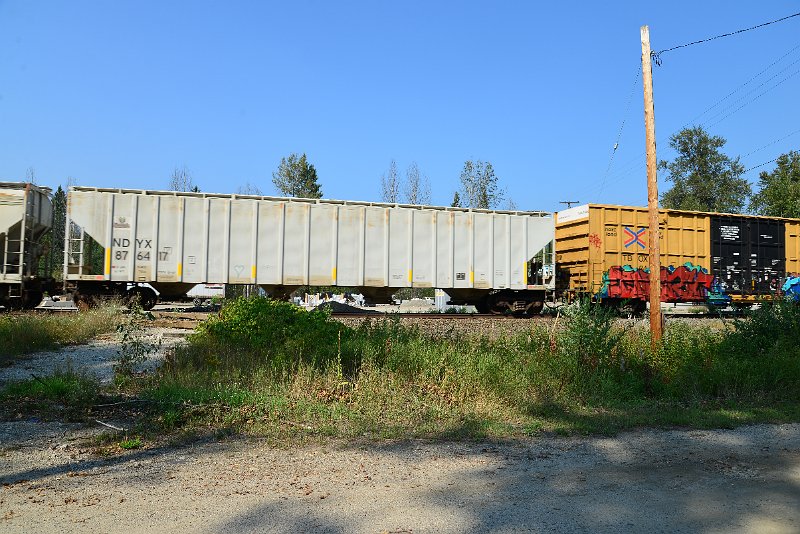 DSC_8362.JPG