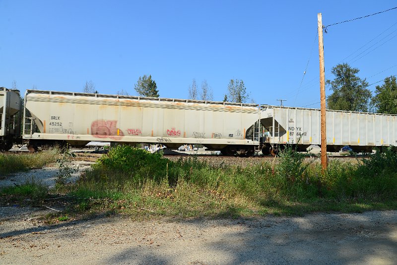 DSC_8363.JPG