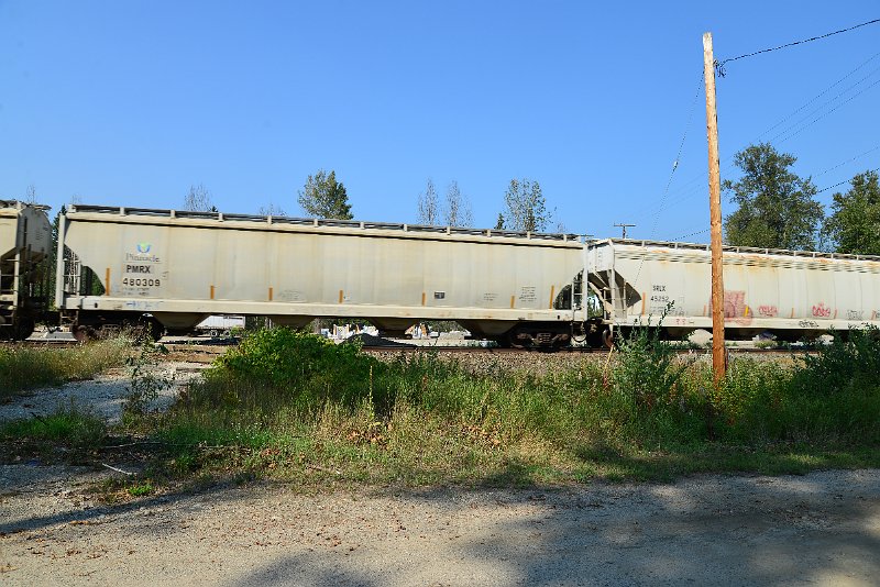 DSC_8364.JPG