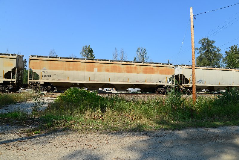 DSC_8366.JPG