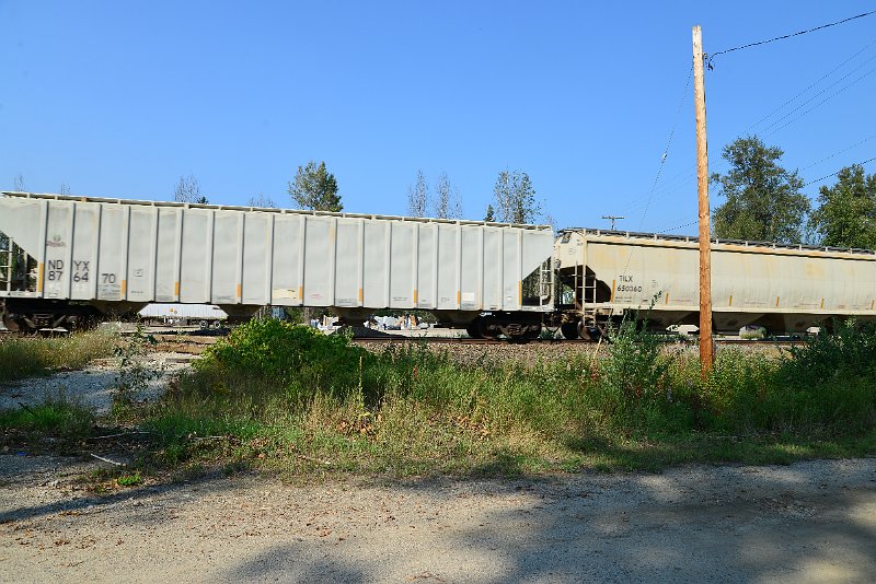 DSC_8368.JPG