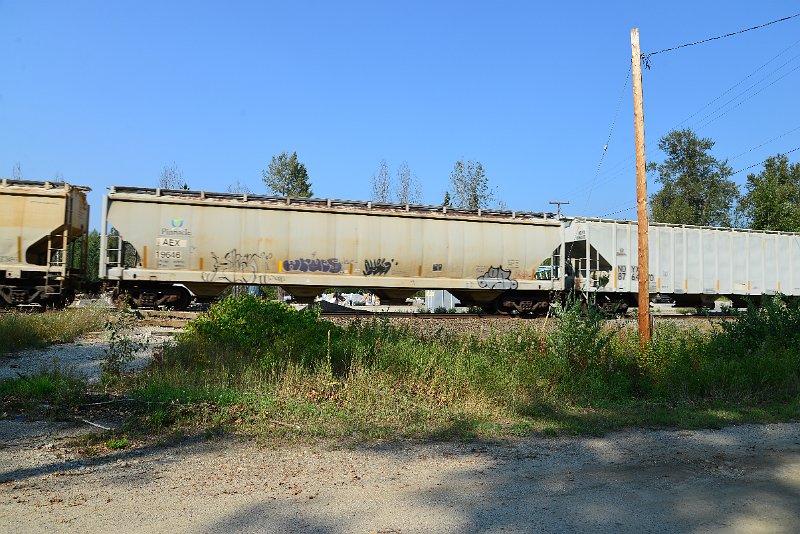 DSC_8369.JPG