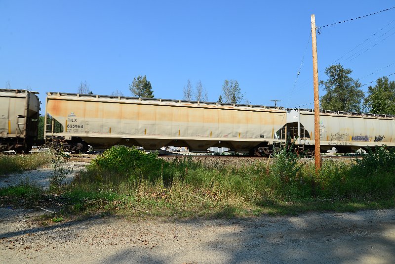 DSC_8370.JPG