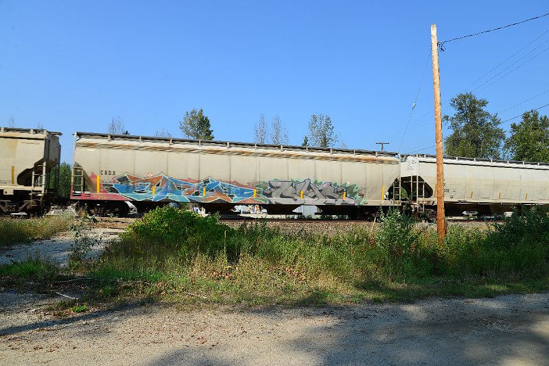 DSC_8374.JPG
