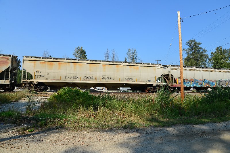 DSC_8375.JPG
