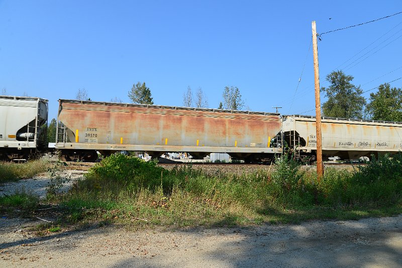 DSC_8376.JPG