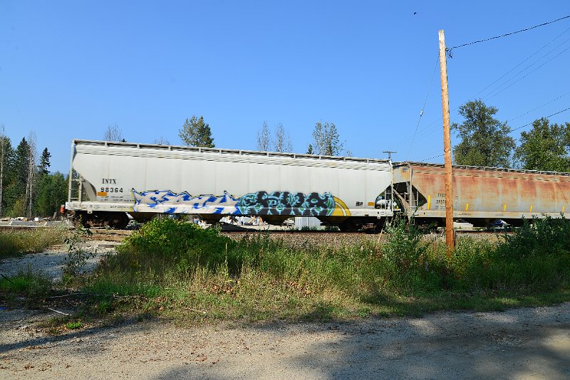 DSC_8377.JPG