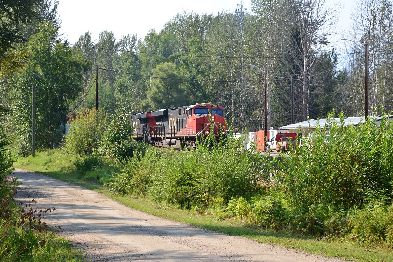 DSC_8380.JPG