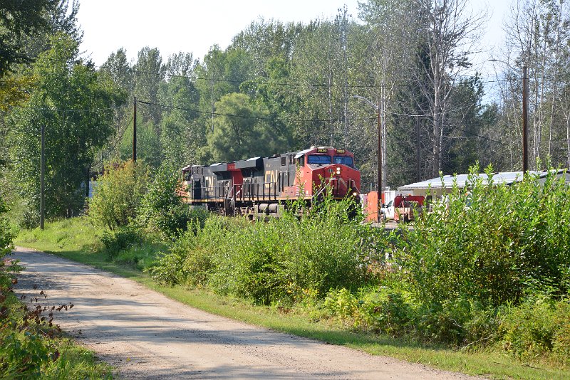 DSC_8381.JPG