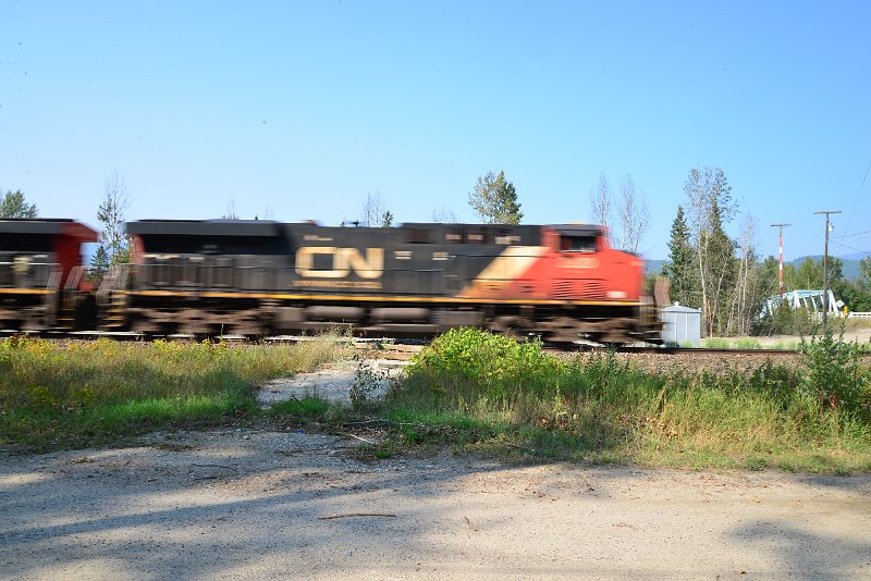 DSC_8382.JPG