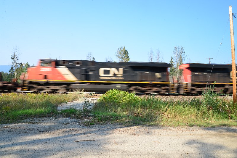 DSC_8383.JPG
