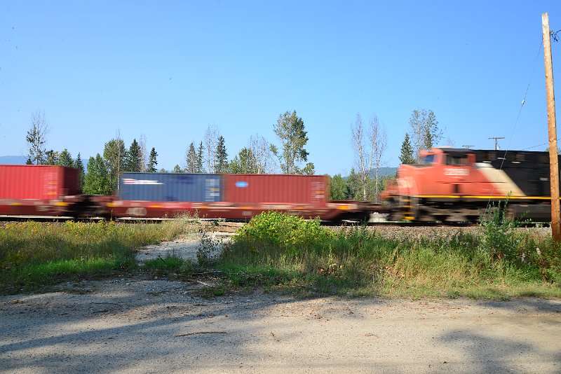 DSC_8384.JPG