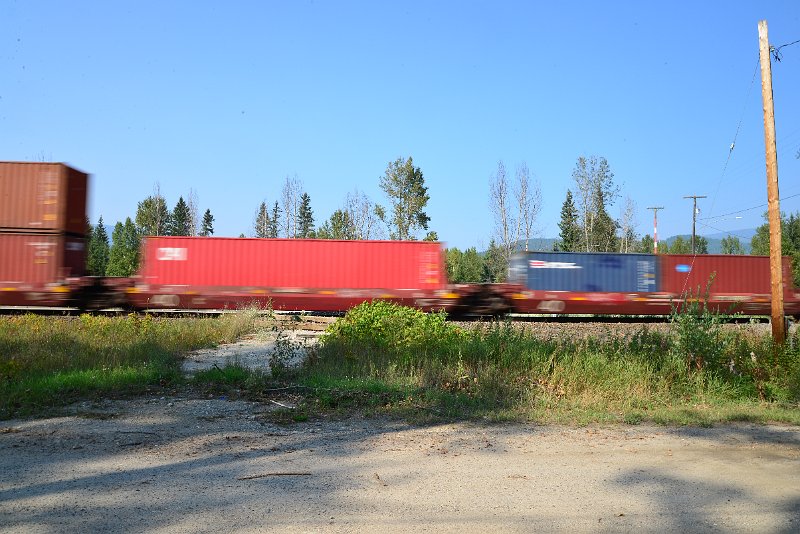DSC_8385.JPG