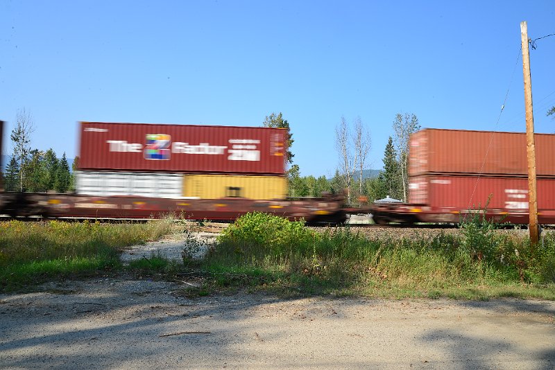 DSC_8387.JPG