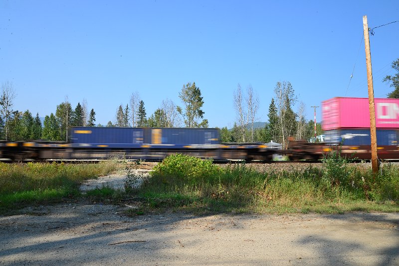 DSC_8392.JPG