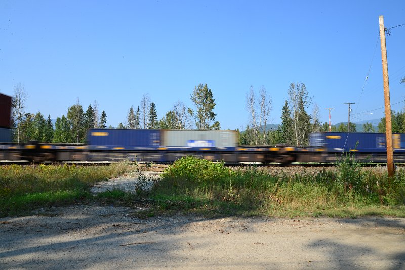 DSC_8393.JPG