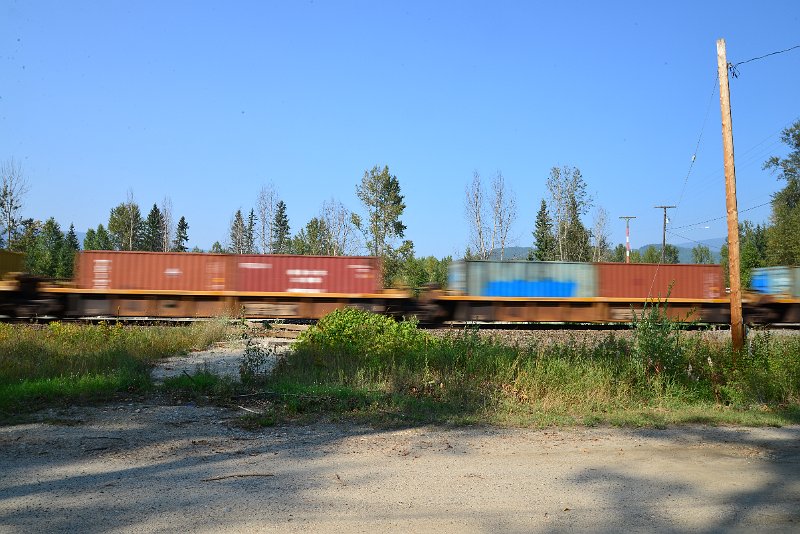 DSC_8398.JPG