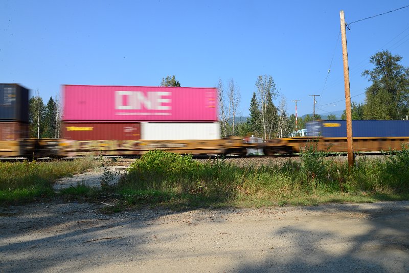 DSC_8410.JPG