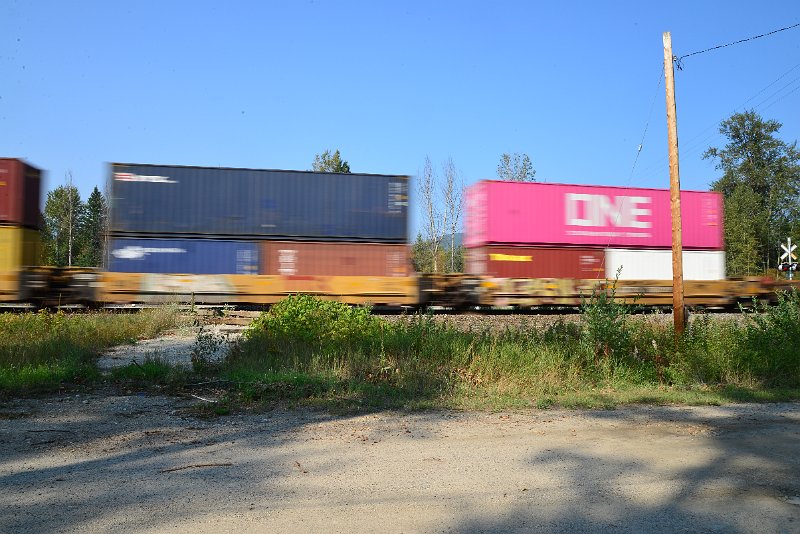 DSC_8411.JPG