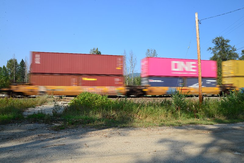 DSC_8419.JPG