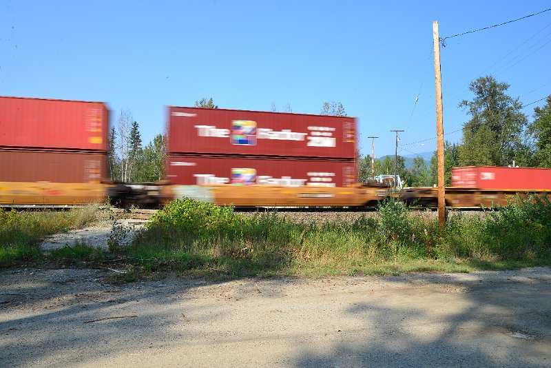 DSC_8428.JPG