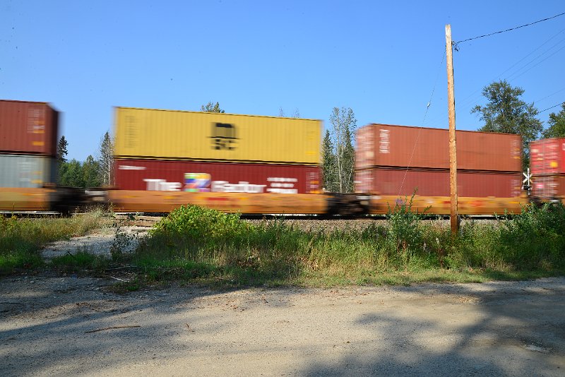 DSC_8431.JPG