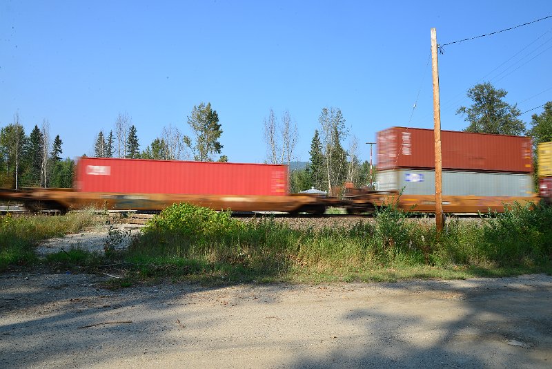 DSC_8433.JPG