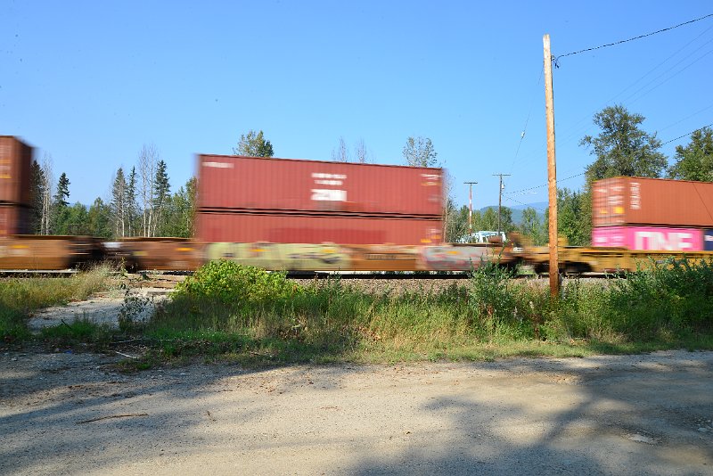 DSC_8437.JPG