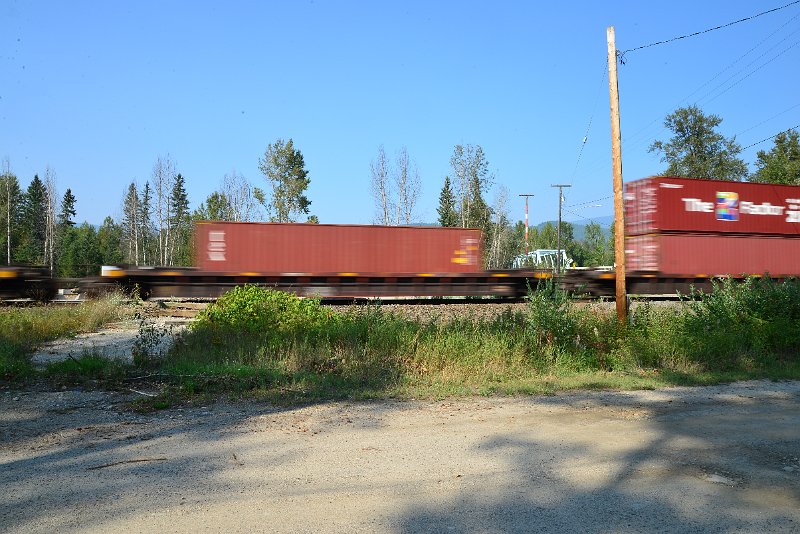 DSC_8442.JPG