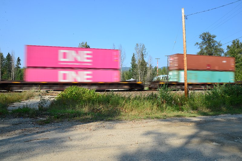 DSC_8444.JPG
