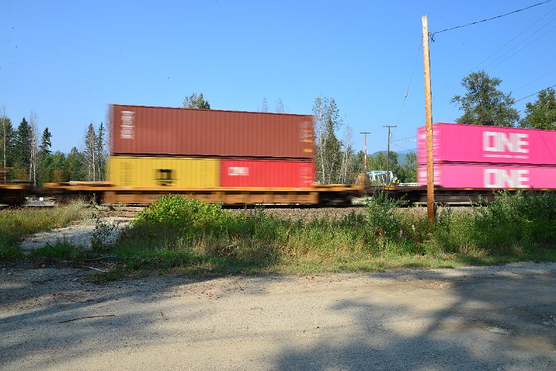 DSC_8445.JPG