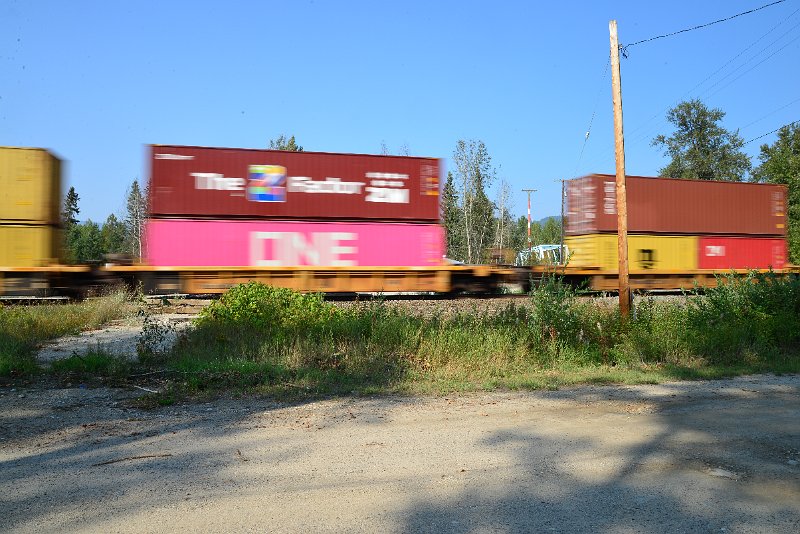 DSC_8446.JPG