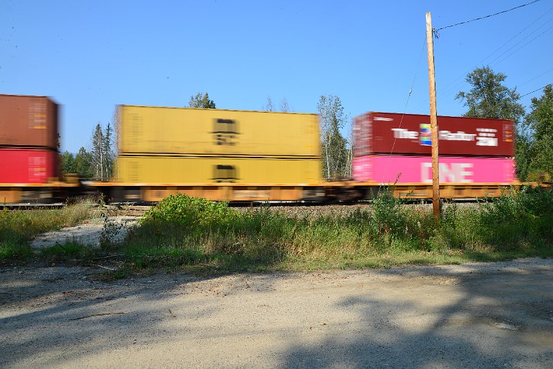 DSC_8447.JPG