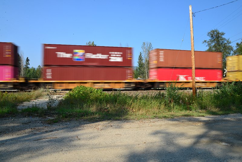 DSC_8449.JPG