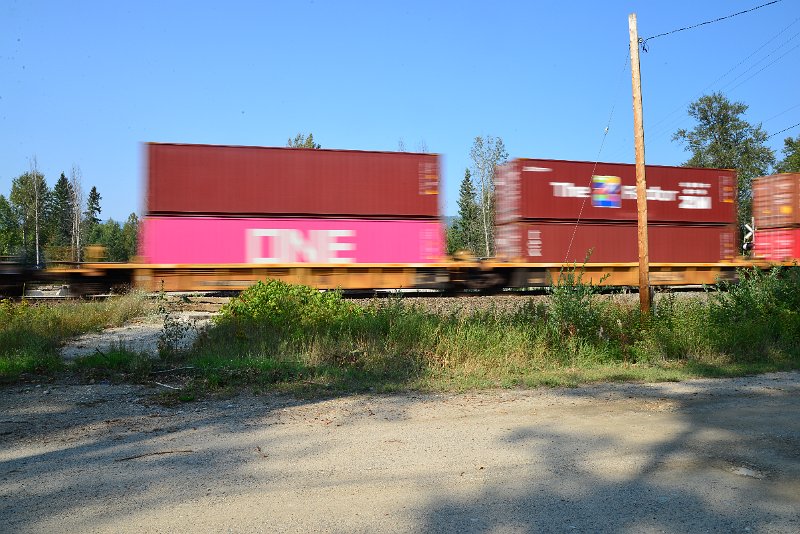 DSC_8450.JPG