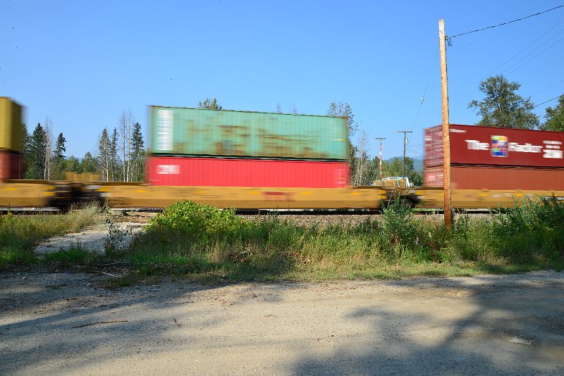 DSC_8458.JPG