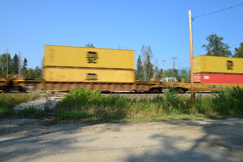 DSC_8460.JPG