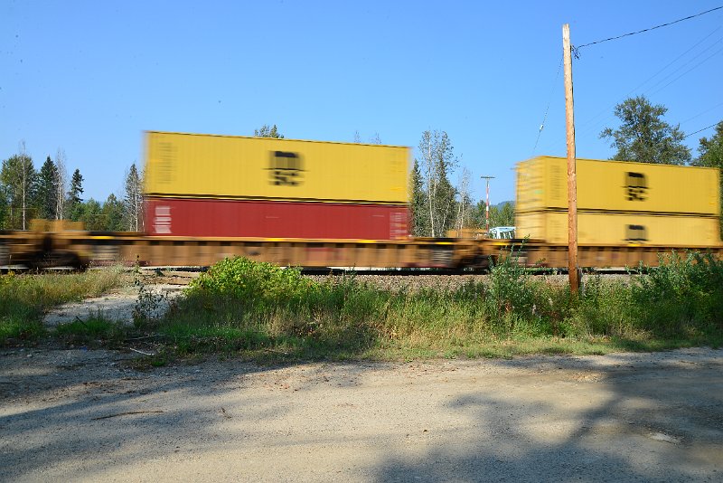 DSC_8461.JPG
