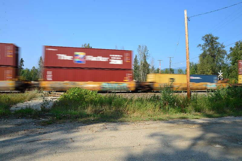 DSC_8475.JPG