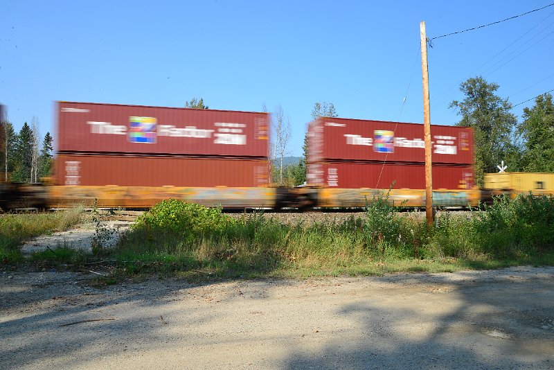DSC_8476.JPG