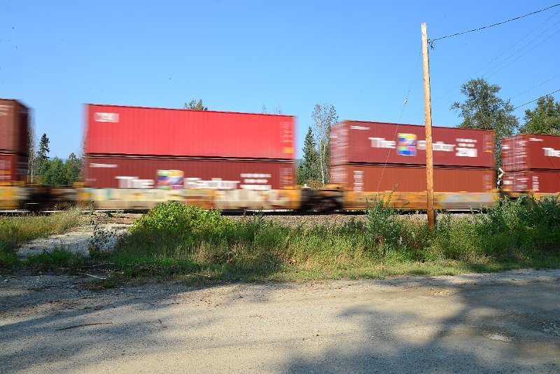DSC_8478.JPG
