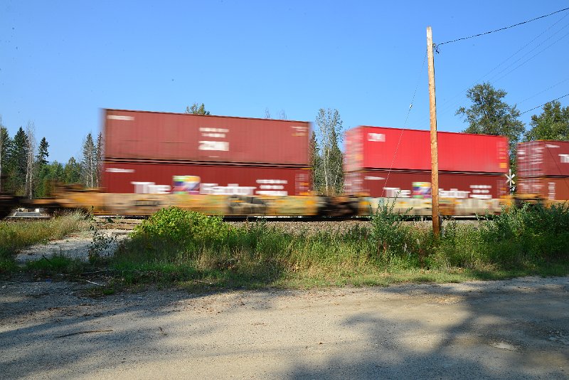 DSC_8479.JPG