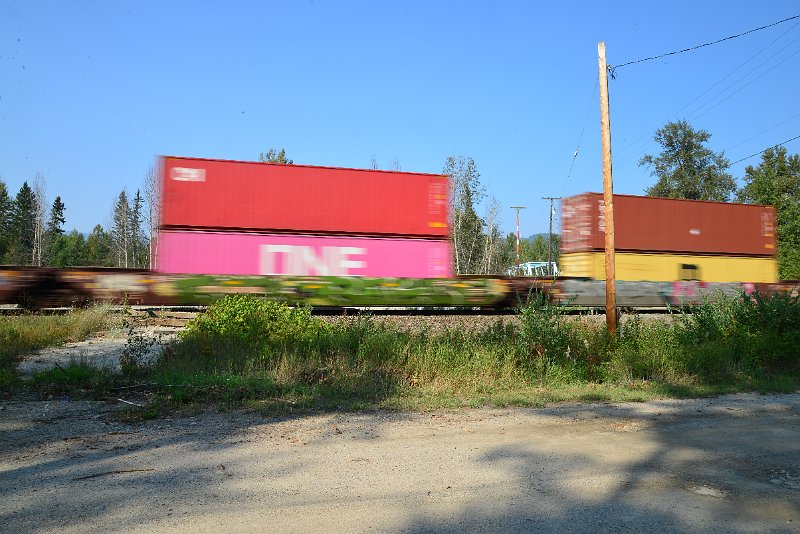DSC_8481.JPG