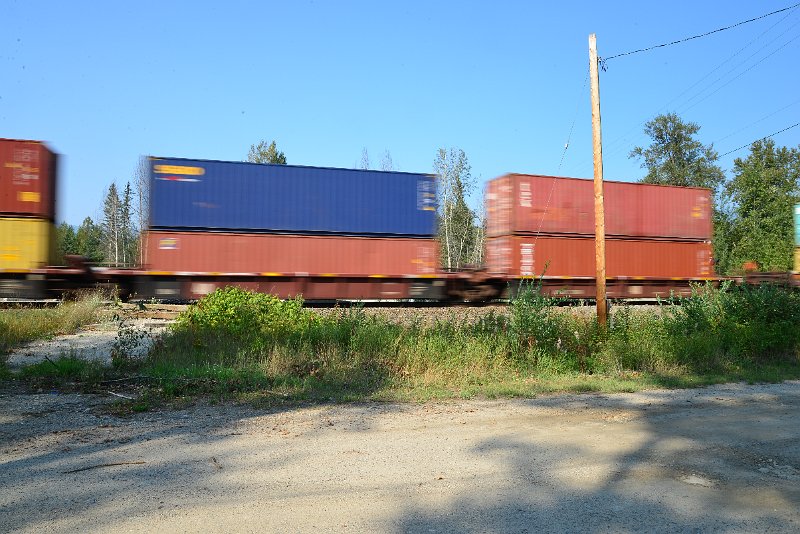 DSC_8484.JPG