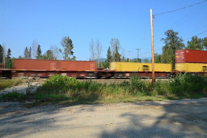 DSC_8487.JPG