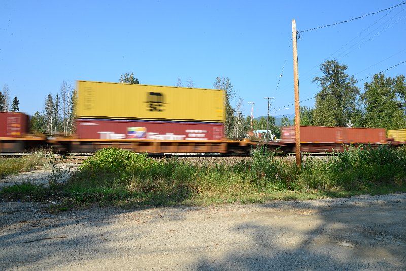 DSC_8488.JPG