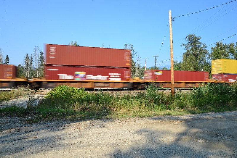 DSC_8490.JPG