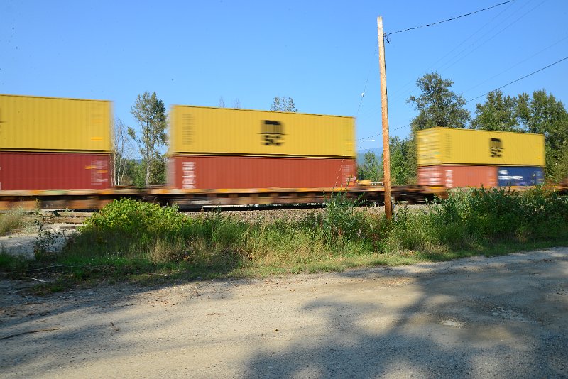DSC_8495.JPG
