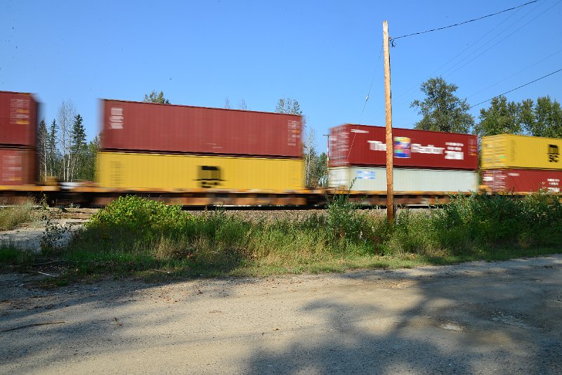 DSC_8498.JPG