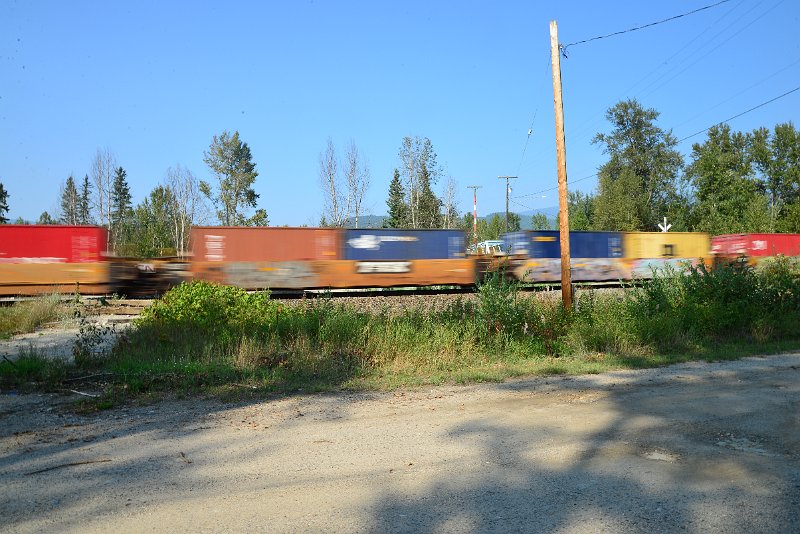 DSC_8502.JPG